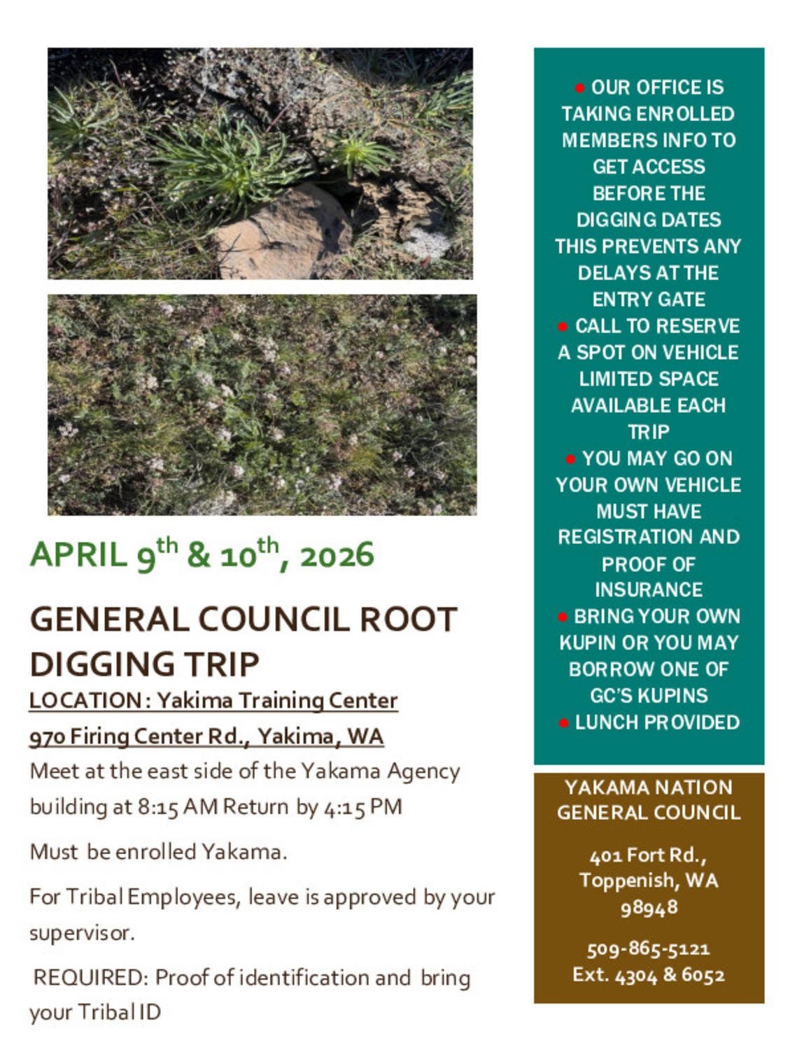 Root Diggin YT Center